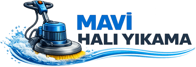 Mavi Halı Yıkama
